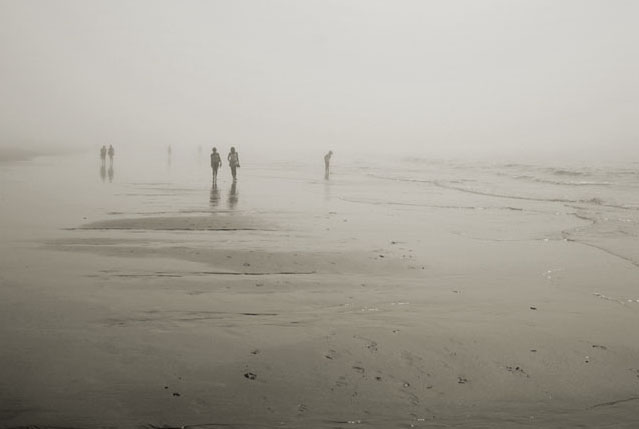 Spaniards searching for Almejas on a foggy Huelva beach, Spain